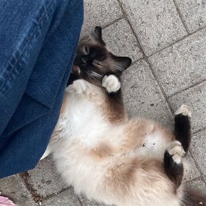 Meet your Posher, Flora